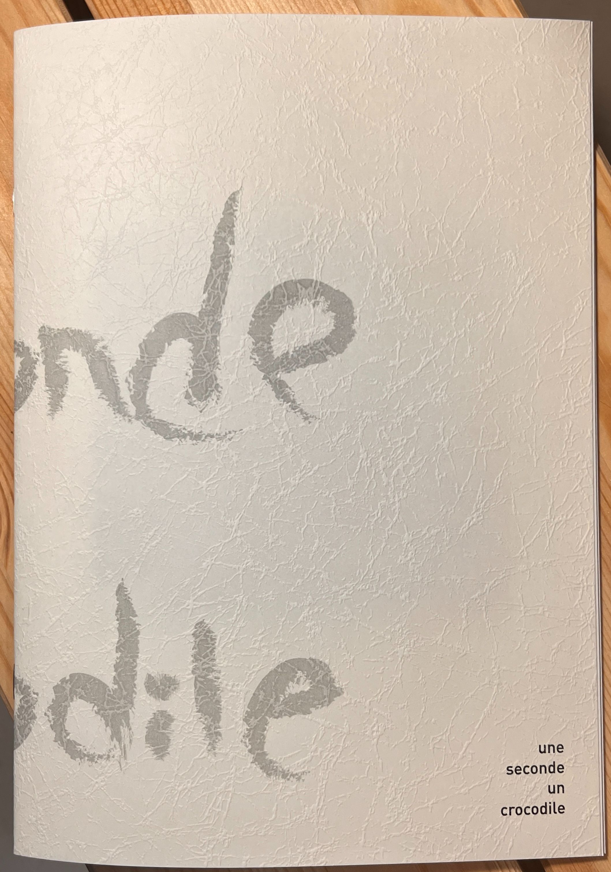 Une seconde un crocodile