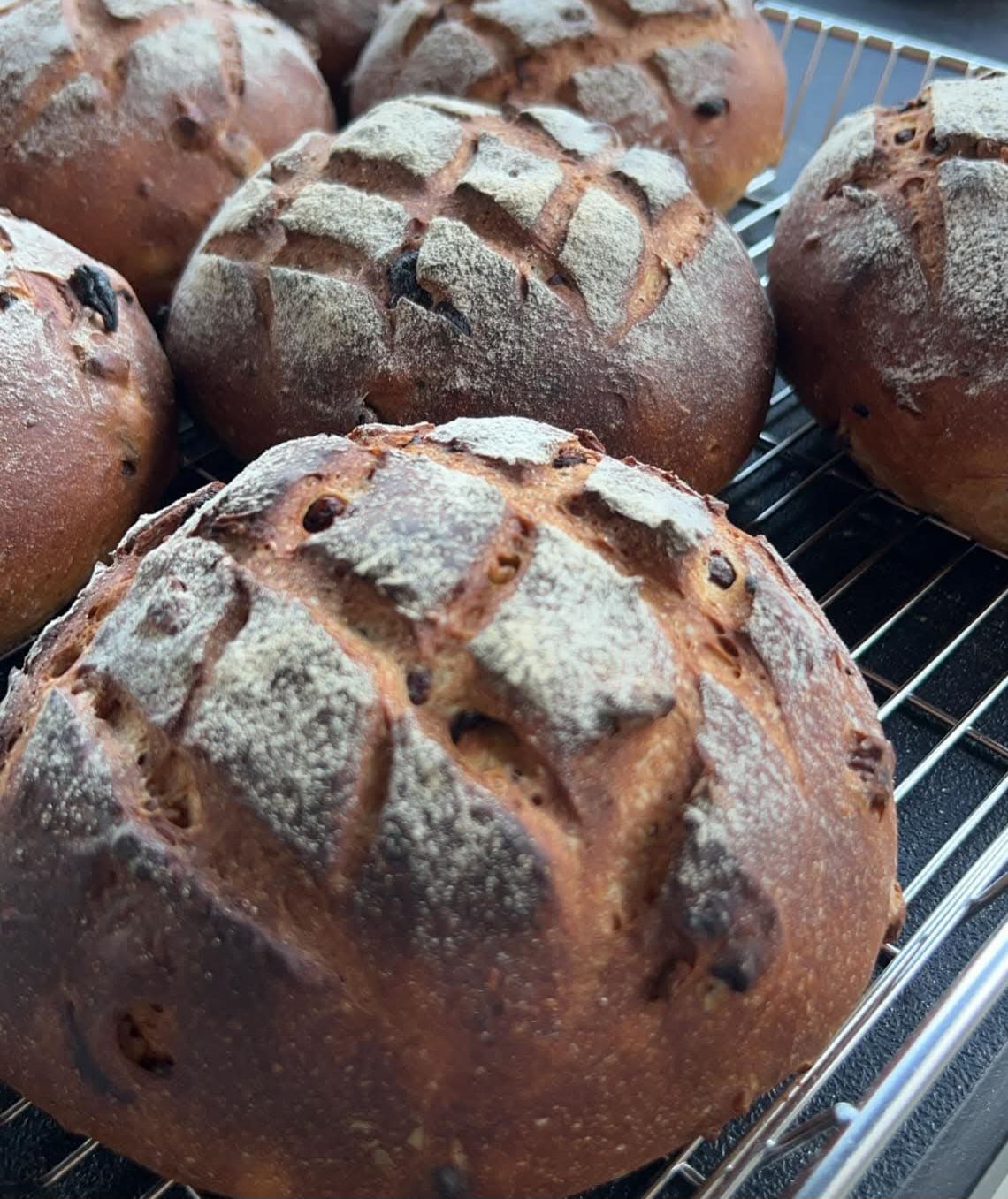 全素-大桂圓核桃 Dried longan walnut country bread【鄉村系列】