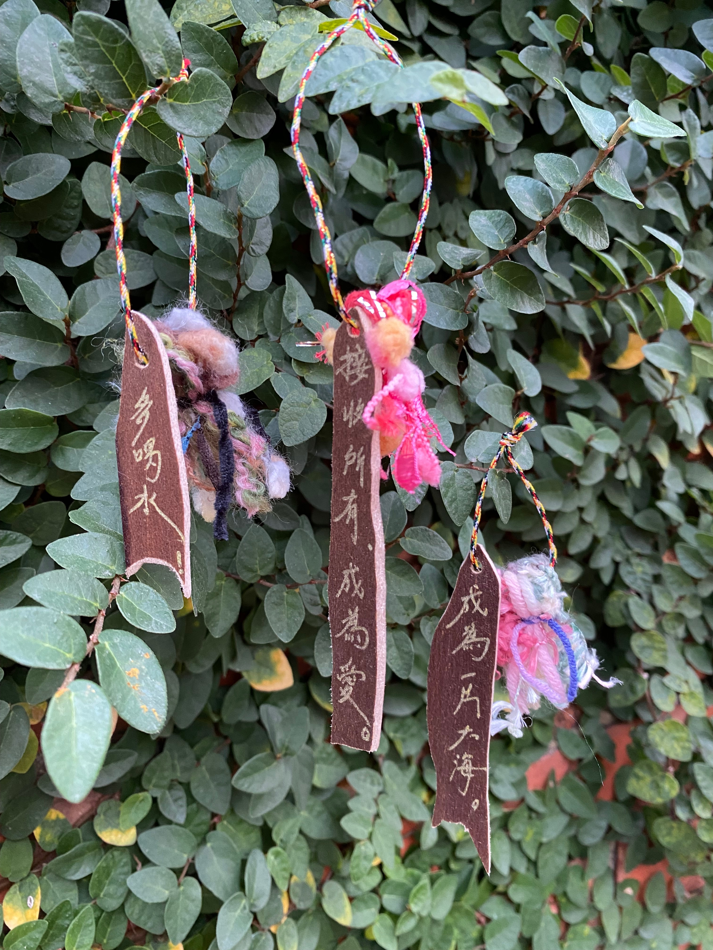 生活裡的光✨