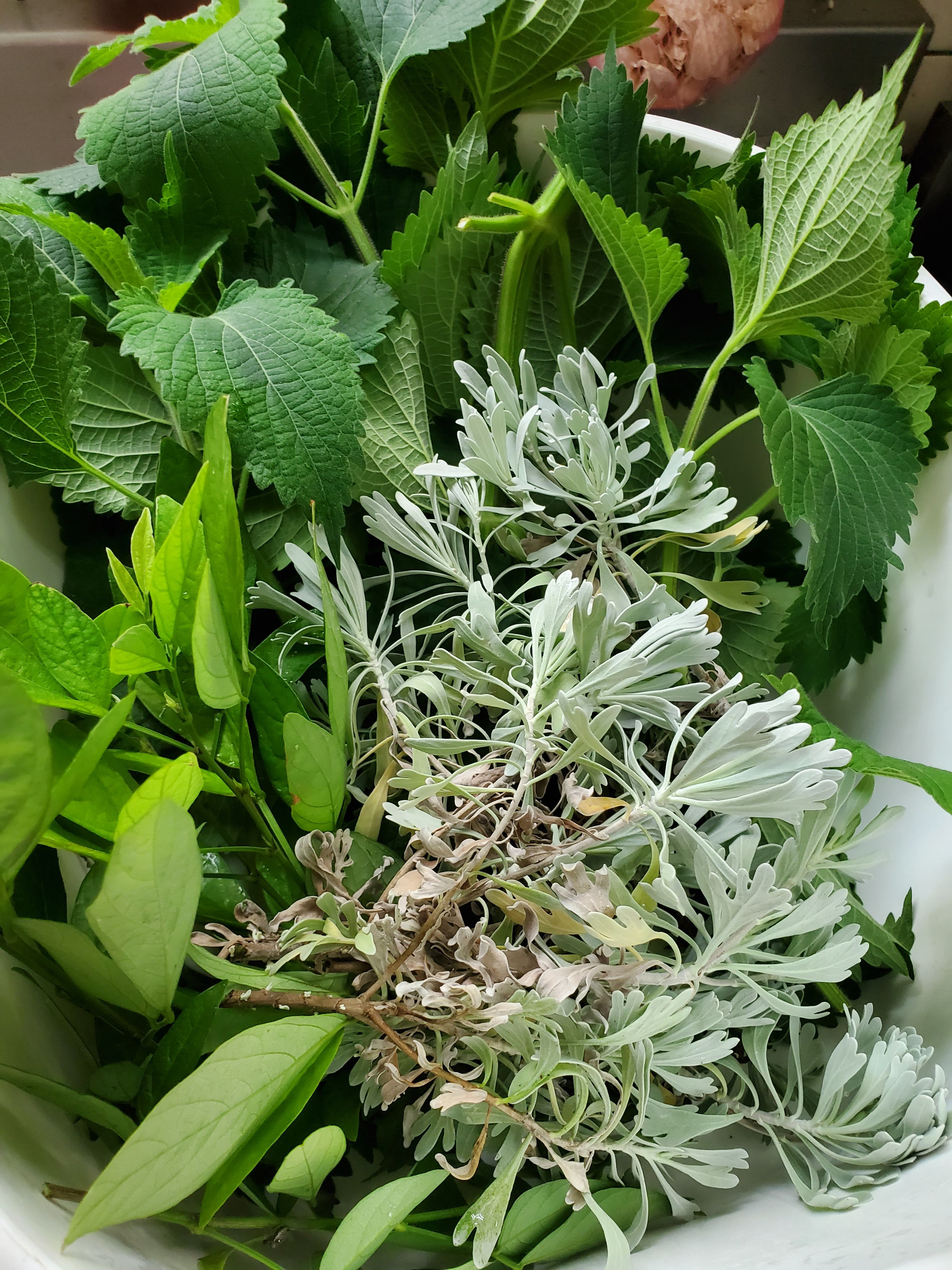 沖煞專用版～午時水雞屎藤秣草芙蓉生乳淨身平安皂