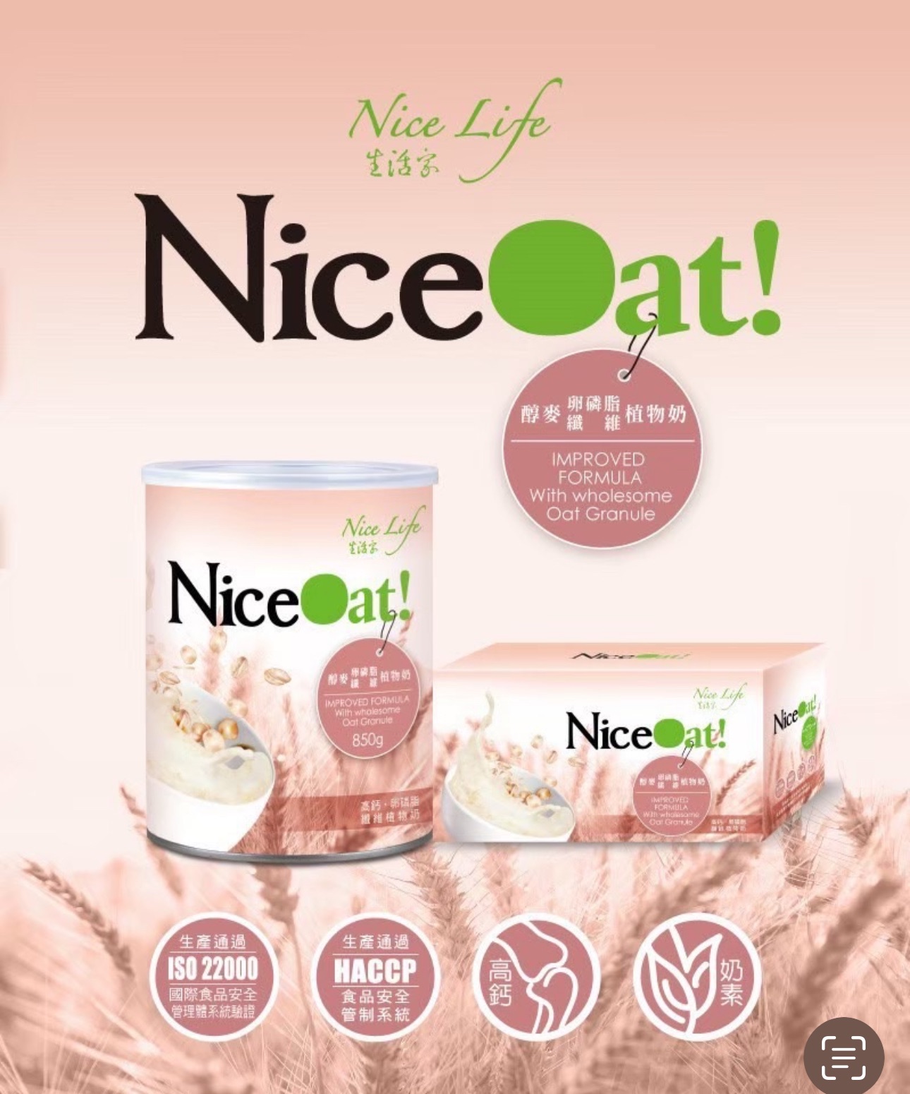 地表最好喝的澳洲進口植物卵磷脂燕麥奶🥛低熱量｜高纖高營養｜乳糖不耐症友善