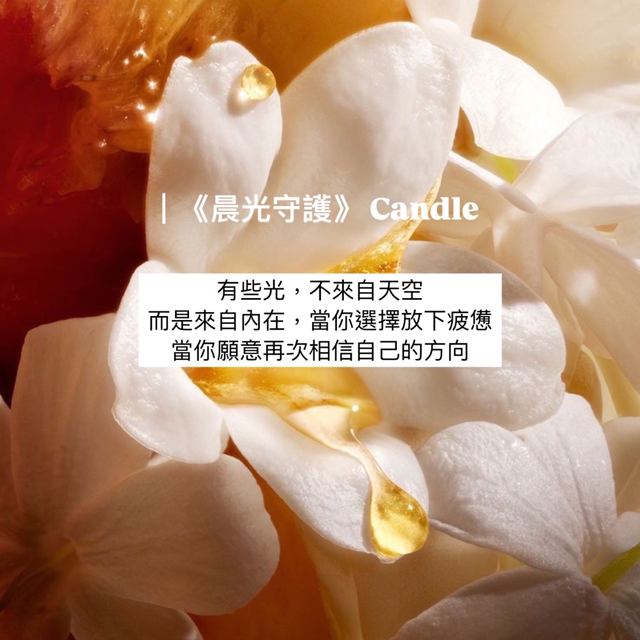 新作｜《晨光守護》Candle