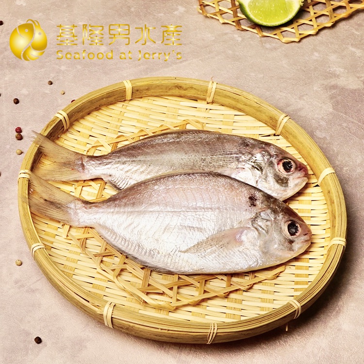 ✦基隆男水產✦ 肉魚（三隻入）