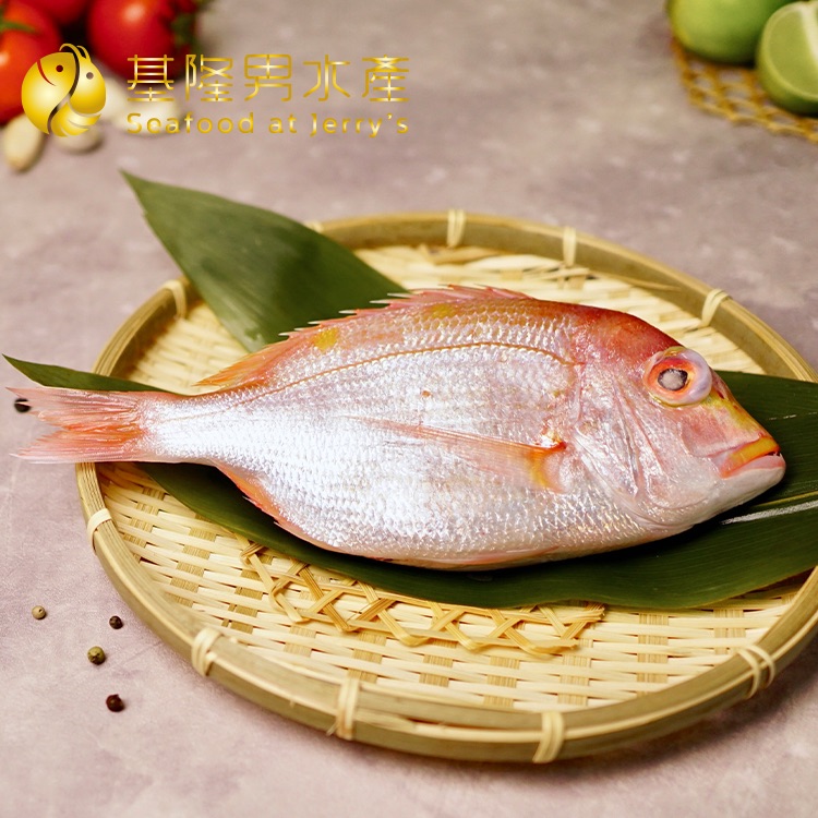 ✦基隆男水產✦ 台灣赤鯮 （三去）