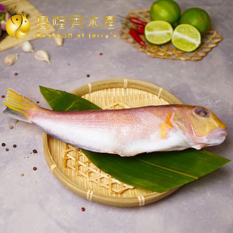 ✦基隆男水產✦ 台灣馬頭魚（三去）