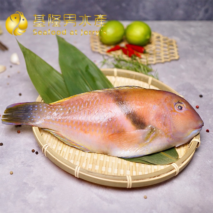 ✦基隆男水產✦ 澎湖野生寒鯛/紅石佬