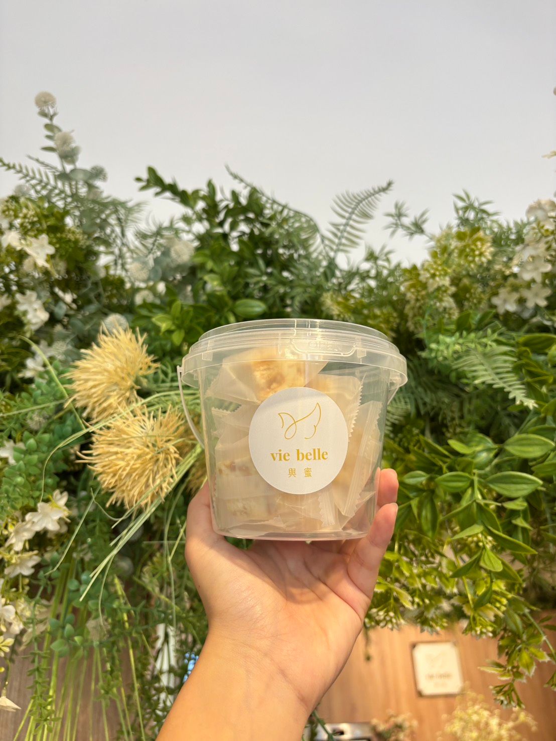 🥭🍓 六月限定｜減糖版 夏日芒果雪Q餅・蔓越莓雪Q餅 🍓🥭超大塊果乾沒有在客氣的!!