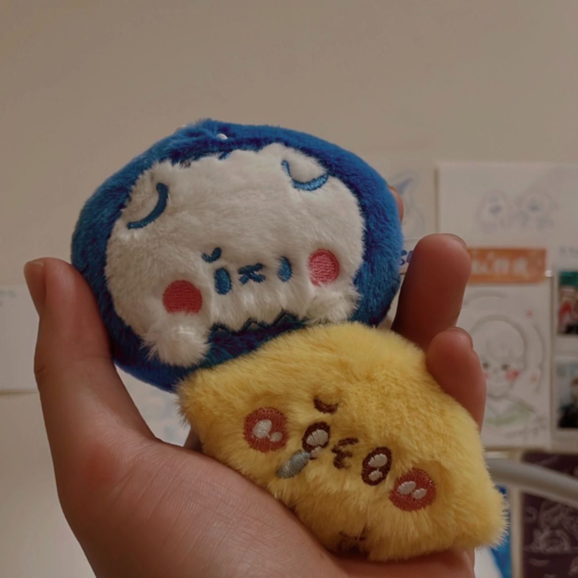 《鯊貓喵喵喵》✧*檸檬ㄐㄐ✧*｜絨毛娃娃