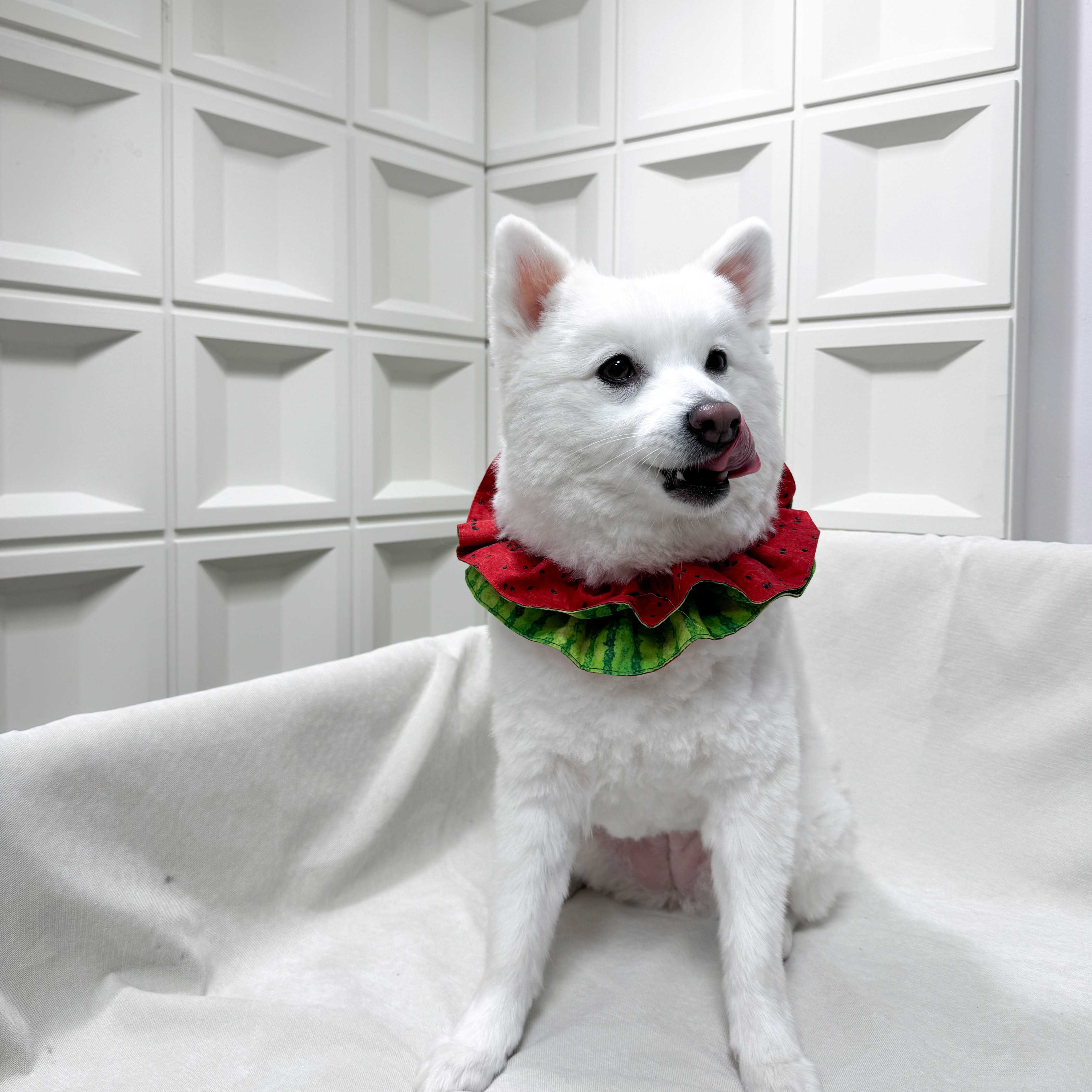 【MEMEPLANET】雙層捲捲領巾 part 1