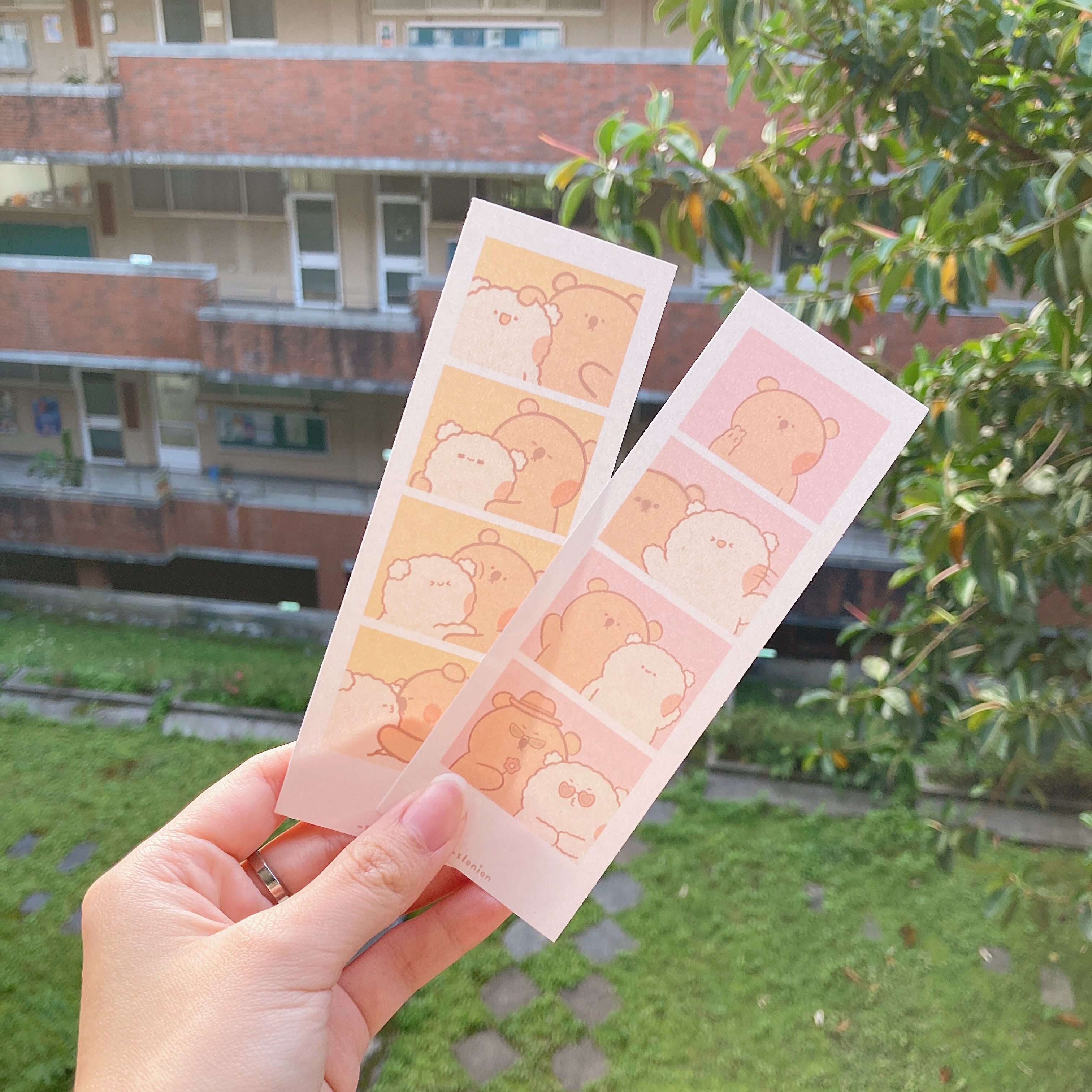 蔥懶 拍貼卡片 兩款