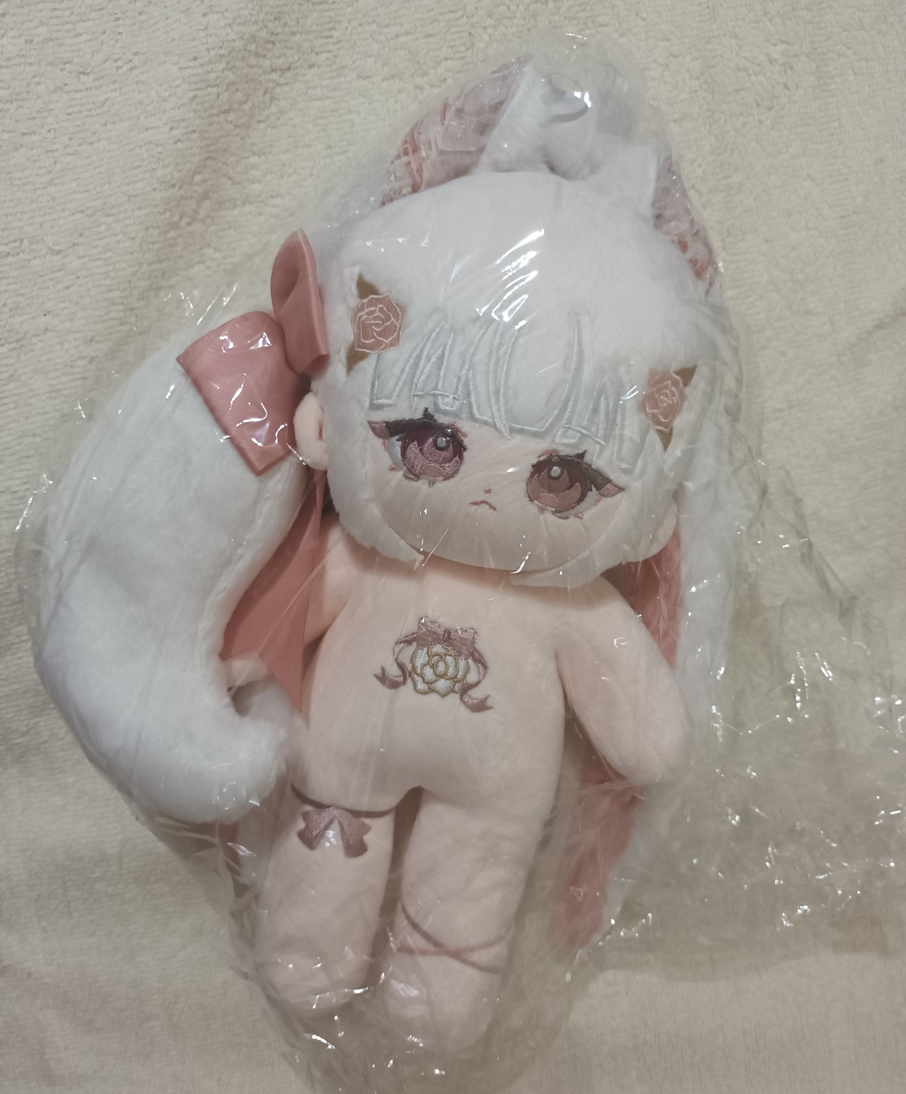 25cm