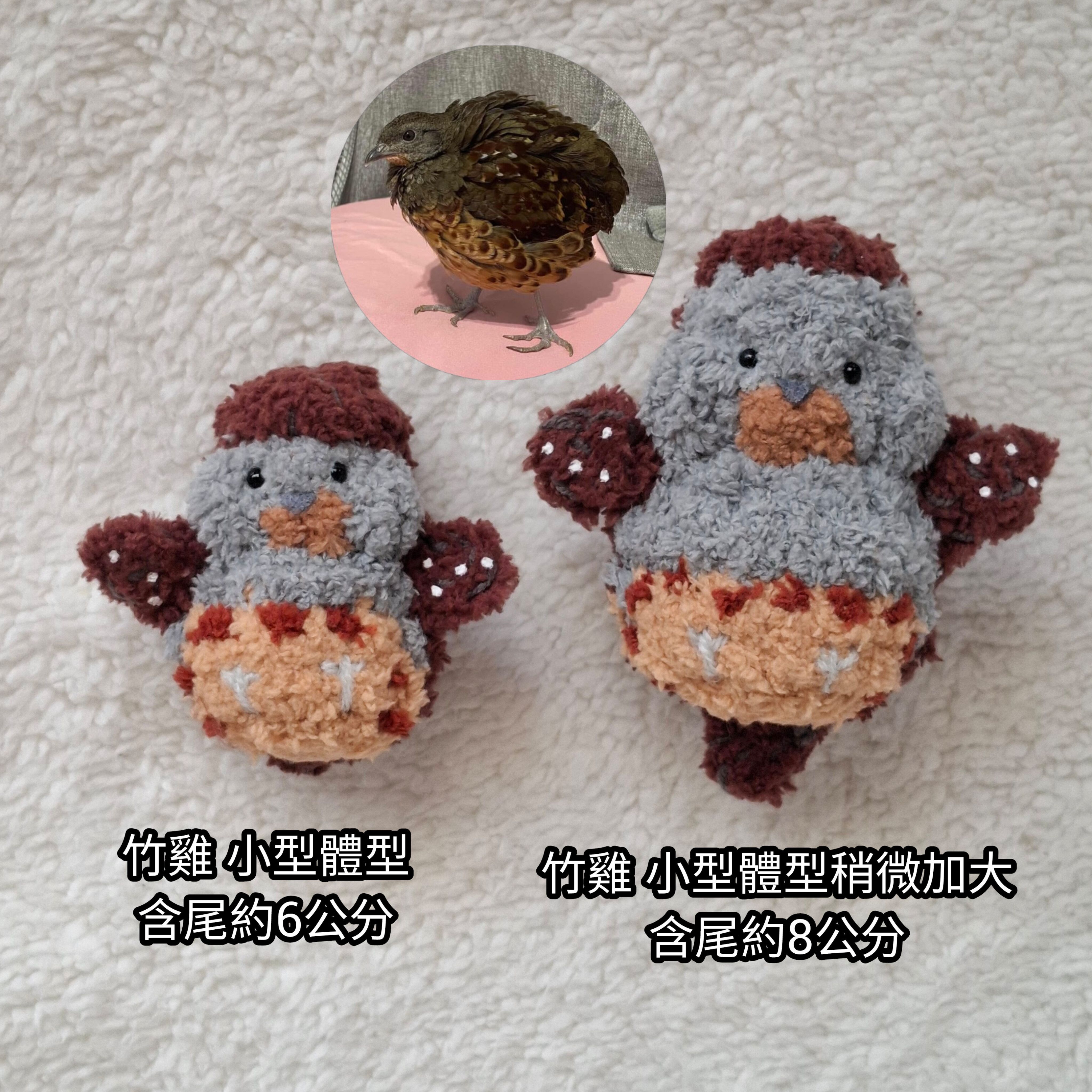 竹雞小型體型＆稍微加大娃娃 頭頂到尾巴6公分＆8公分 可加鑰匙圈 吊飾 別針 可客製改色 手作毛線鉤織小物 玩偶 鳥寵物