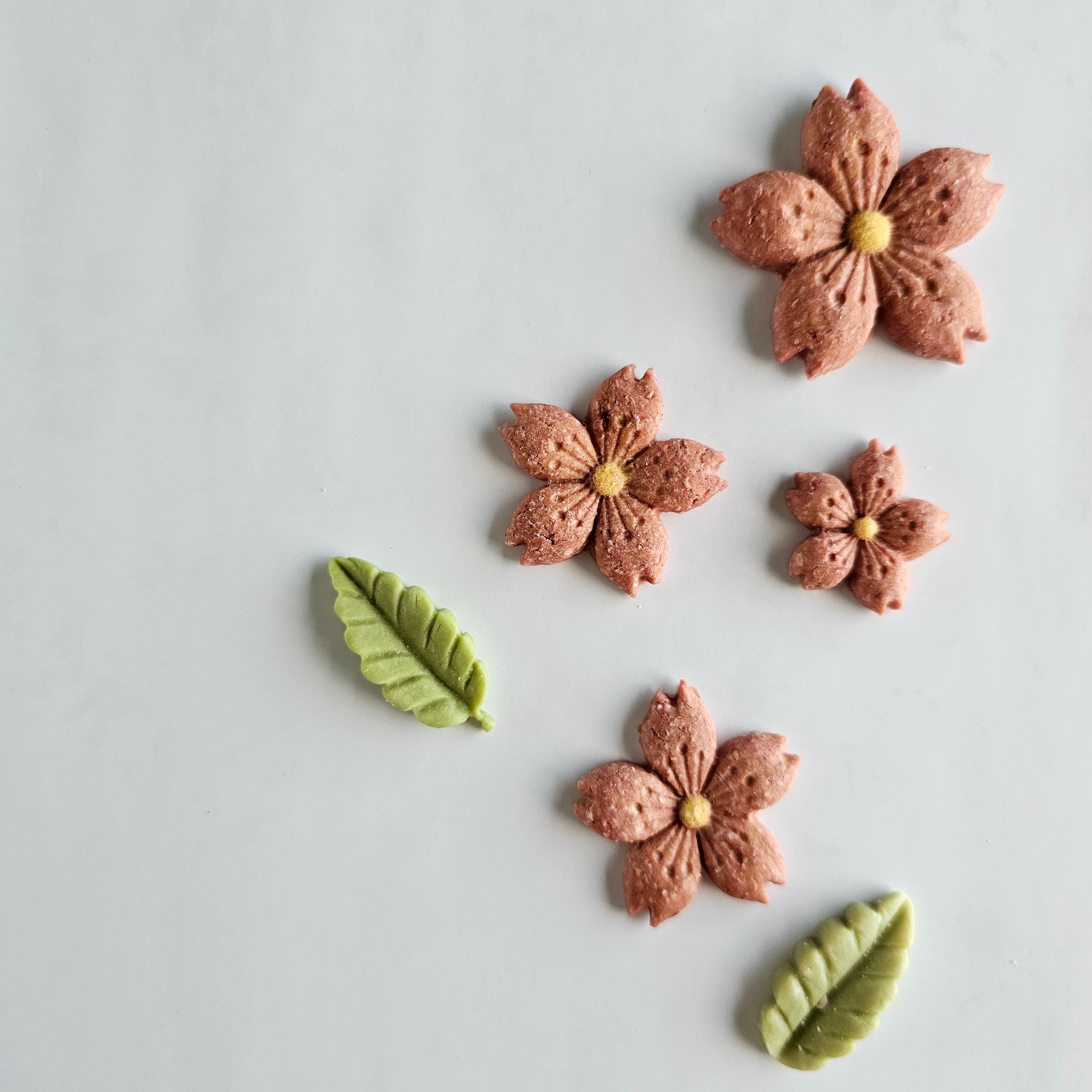 Sakura 桜