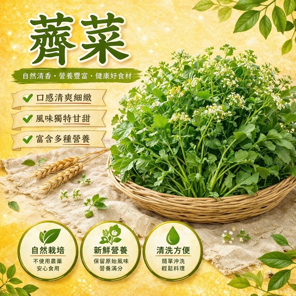 薺菜/五彩繽紛拉麵