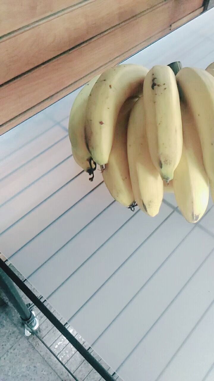 PP墊片  透白款 鐵力士架配件