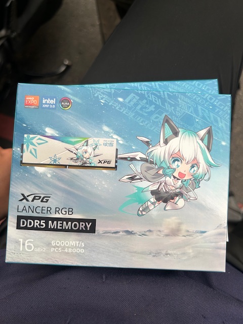 XPG 吹雪D5 6000 16X2
