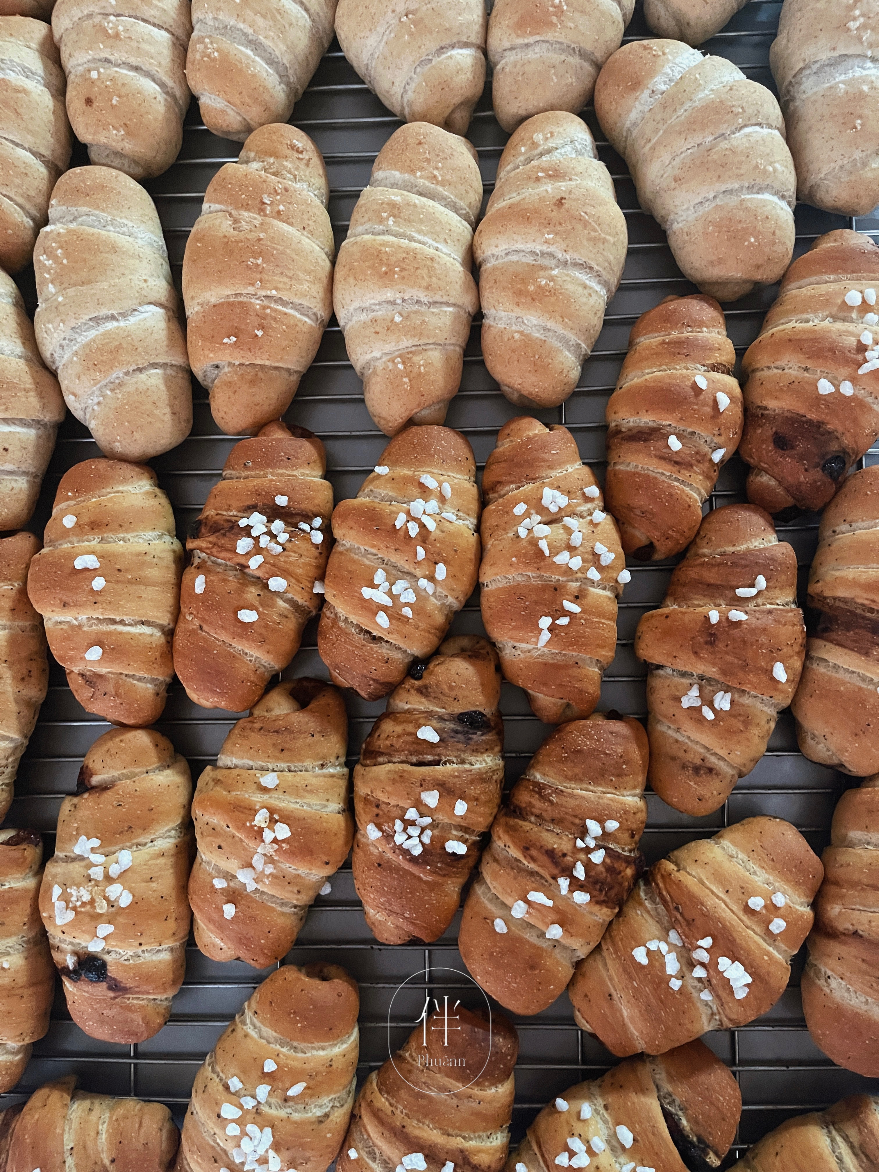 『鹽可頌系列』