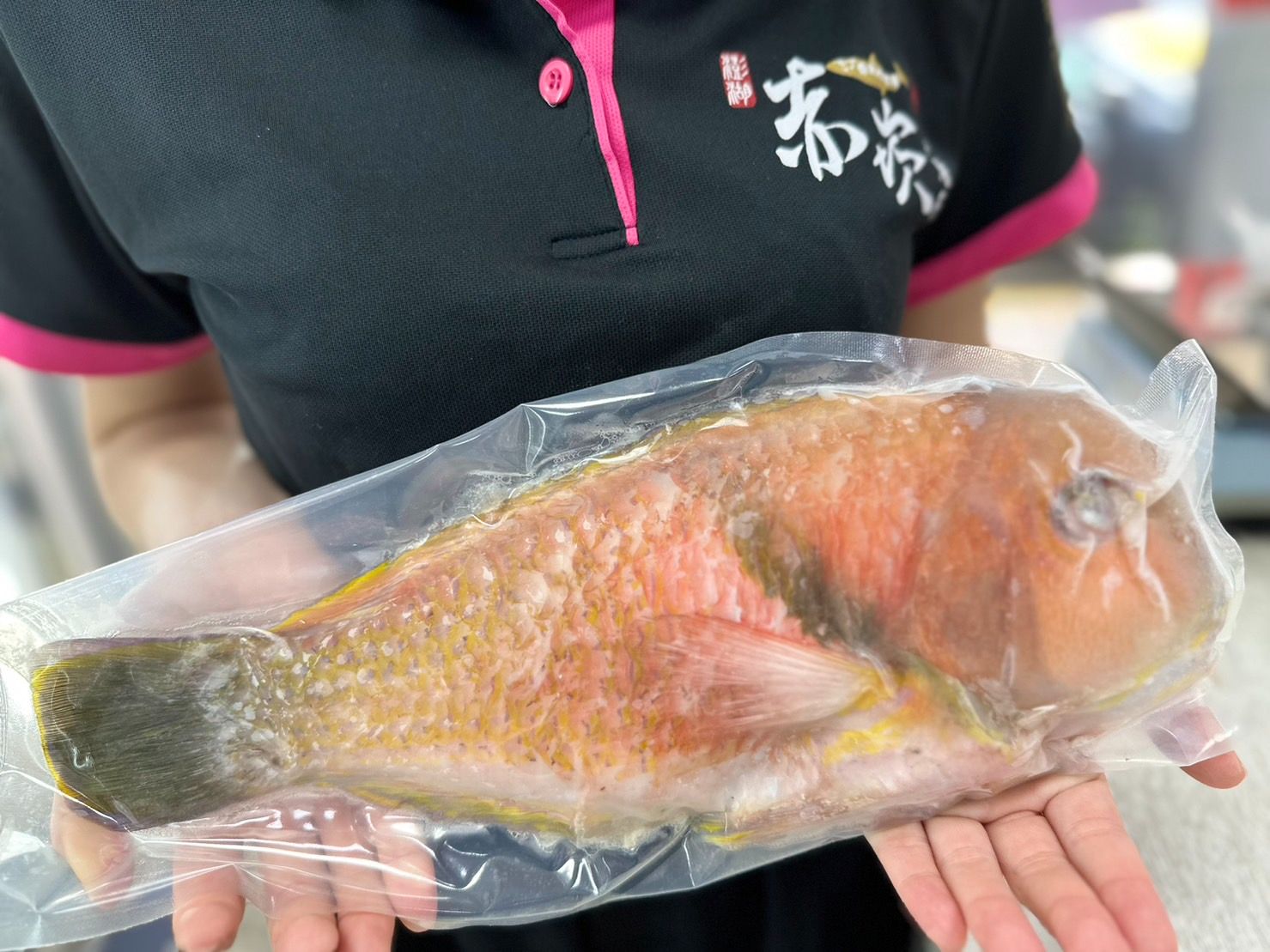 澎湖鳳蓮魚 （紅衣鸚哥魚） -赤崁峰水產