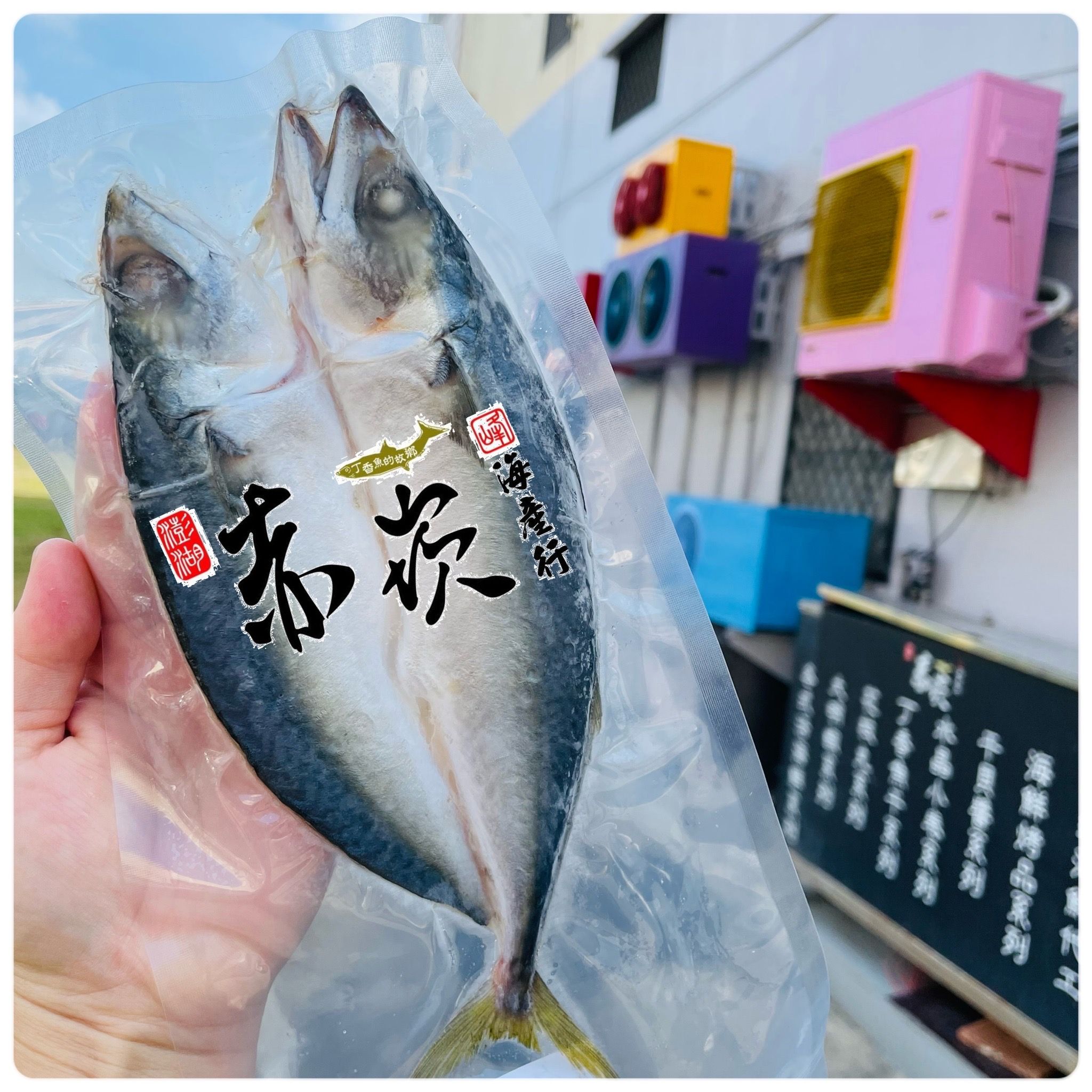 澎湖鯖魚 赤崁峰水產