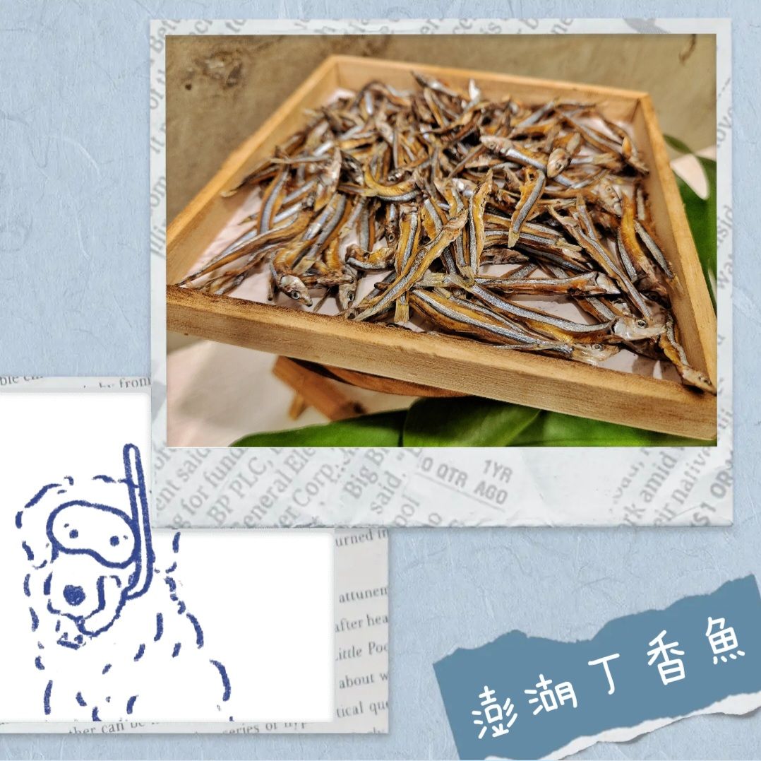 澎湖丁香魚