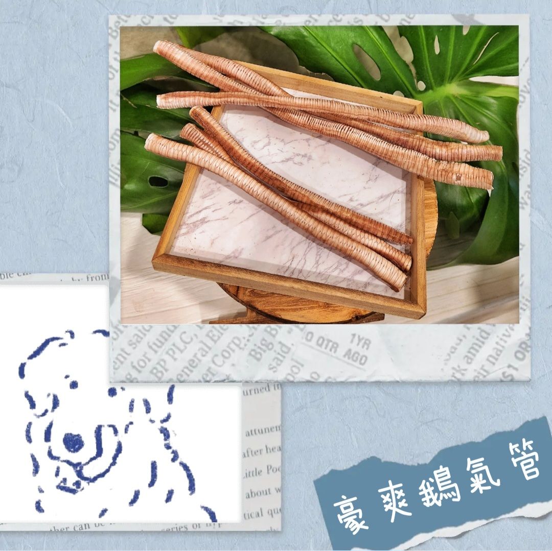 豪爽鵝氣管