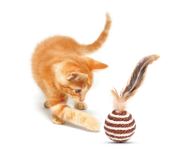 羽毛劍麻球逗貓玩具貓玩具