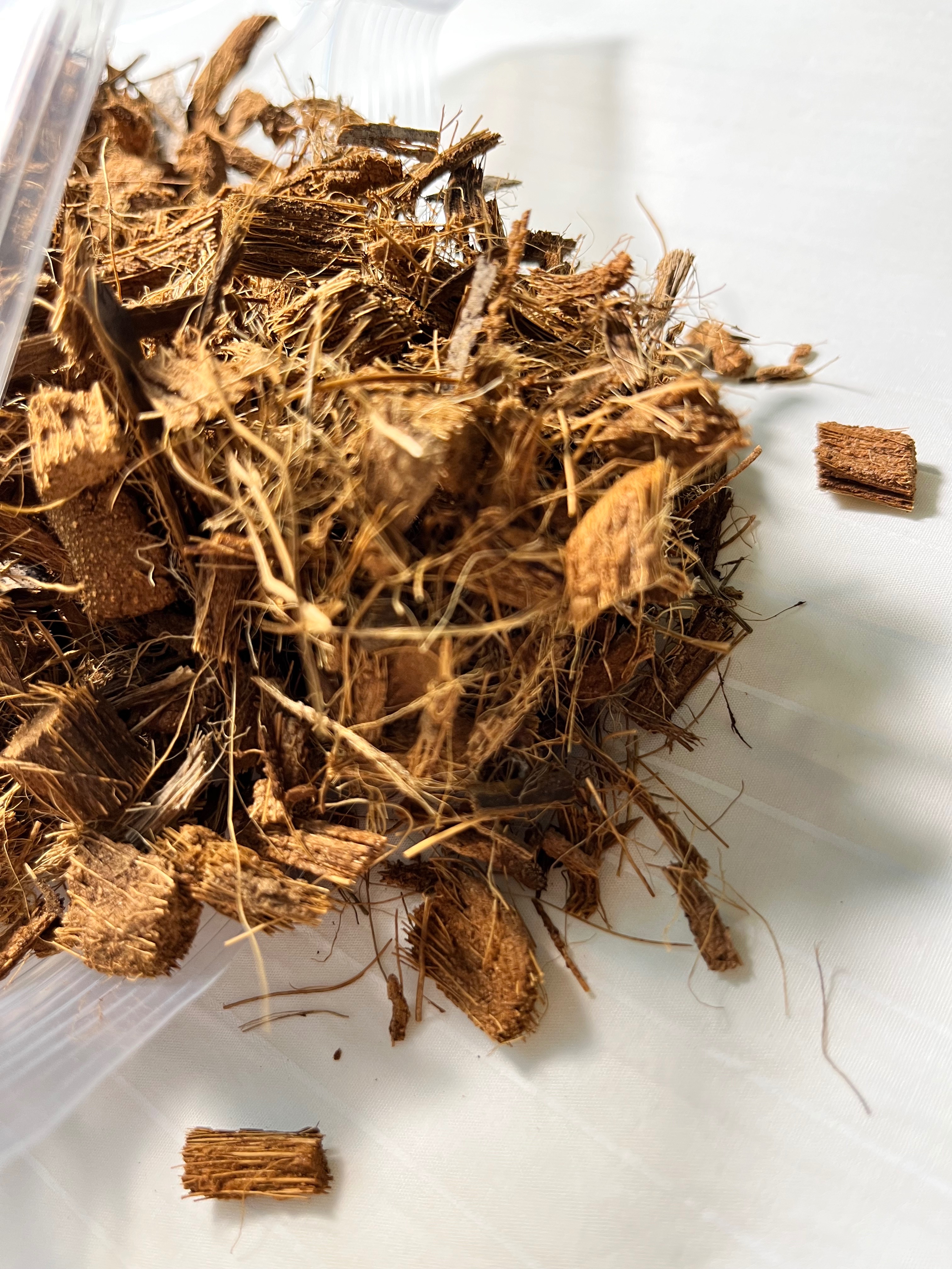 高品質椰纖塊~已水洗處理 開封即用 鹿角蕨/蘭花/園藝  300G