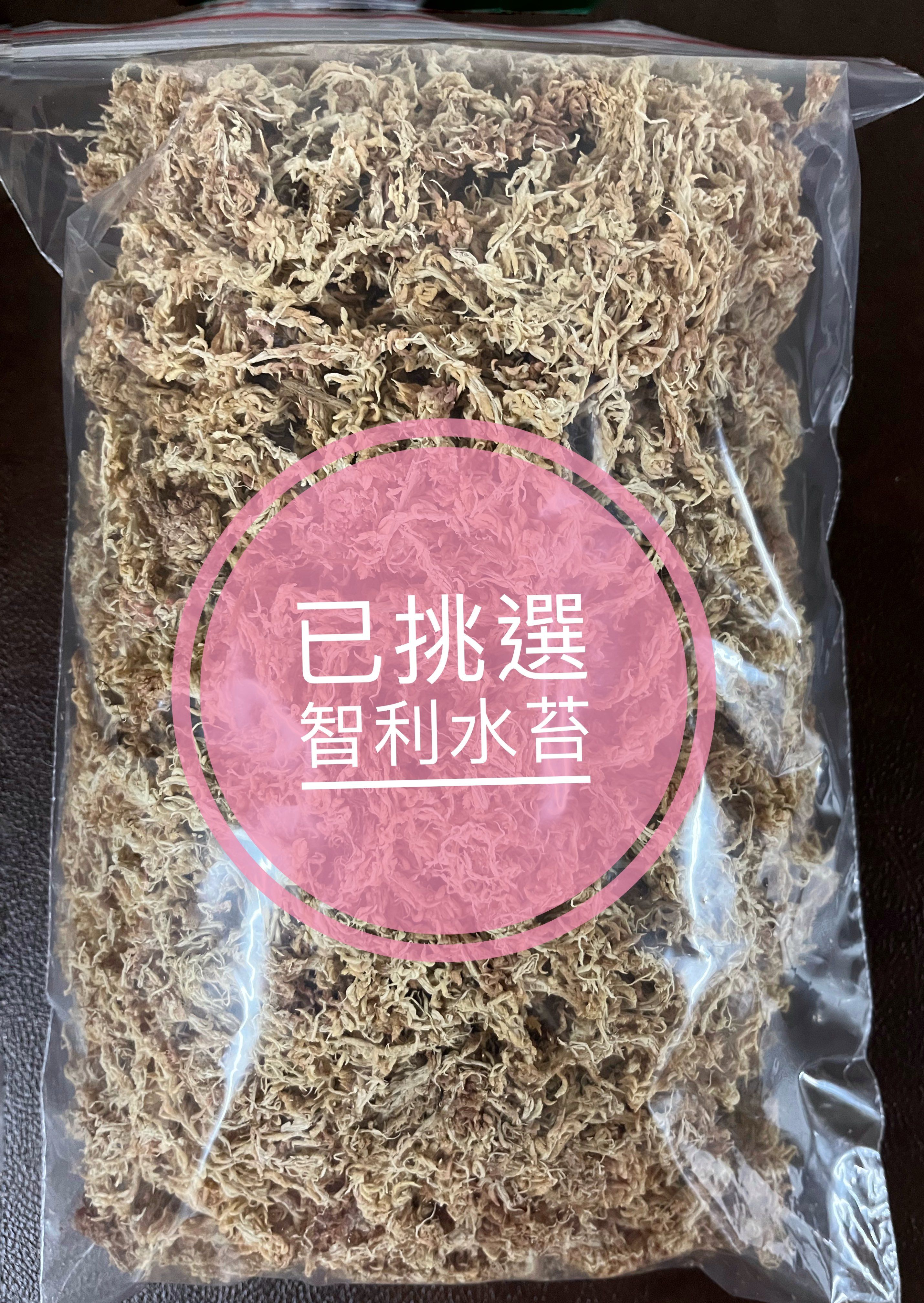 挑選智利水苔 已去除雜質 60g