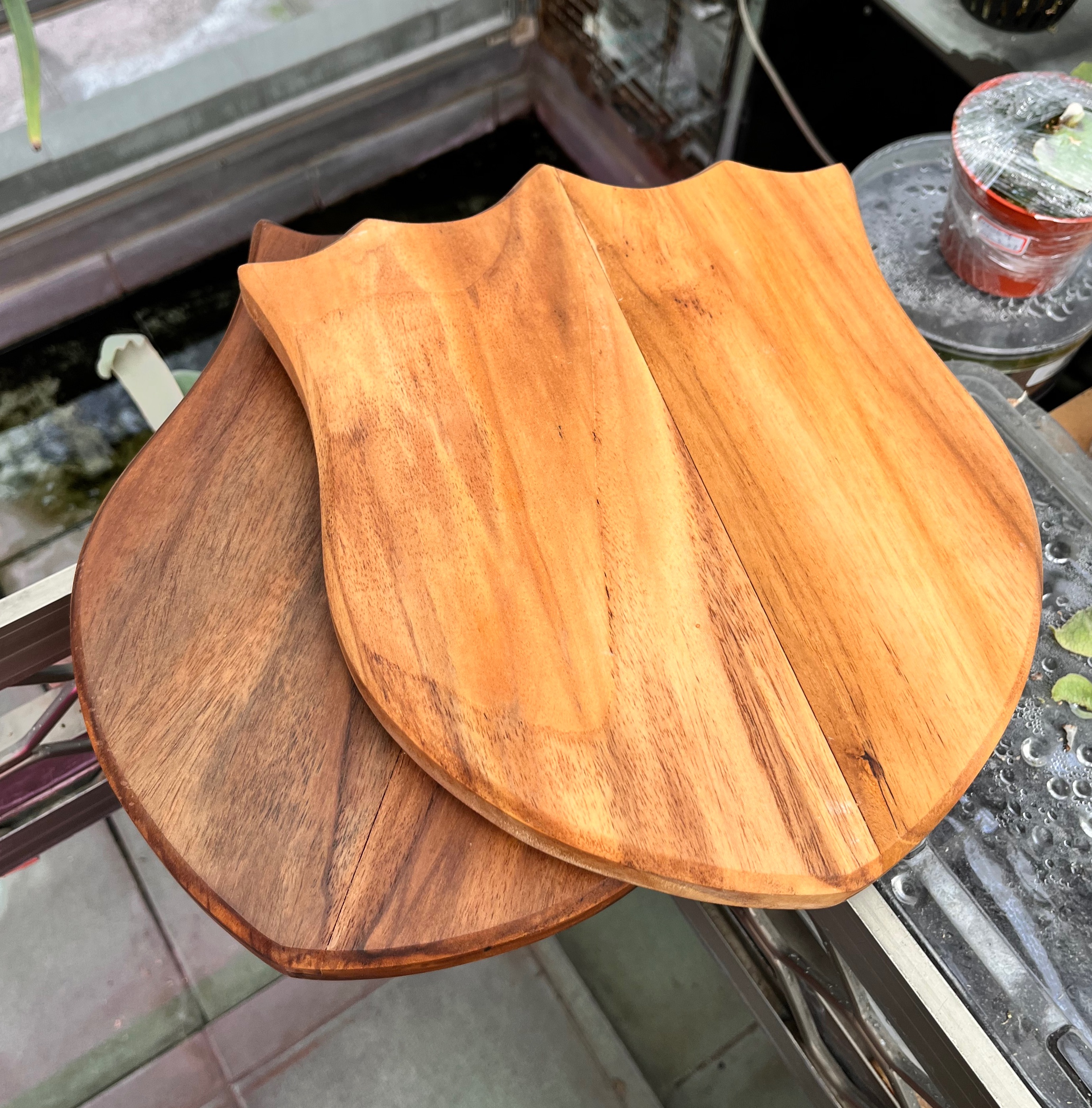 手工造型木板｜鹿角蕨上板專用