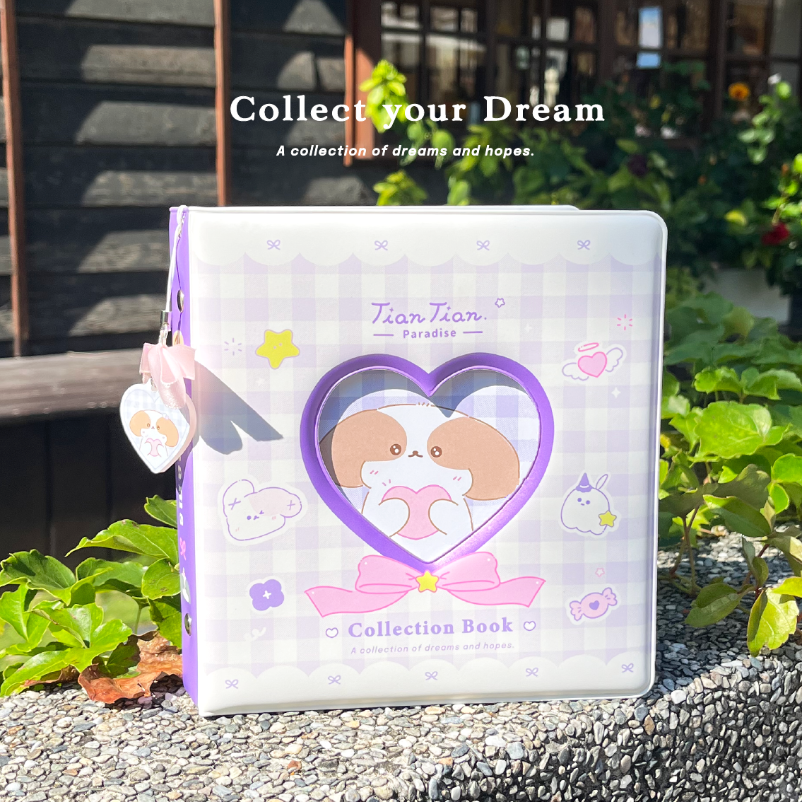 🌼 Collect your Dream收納本.ᐟ