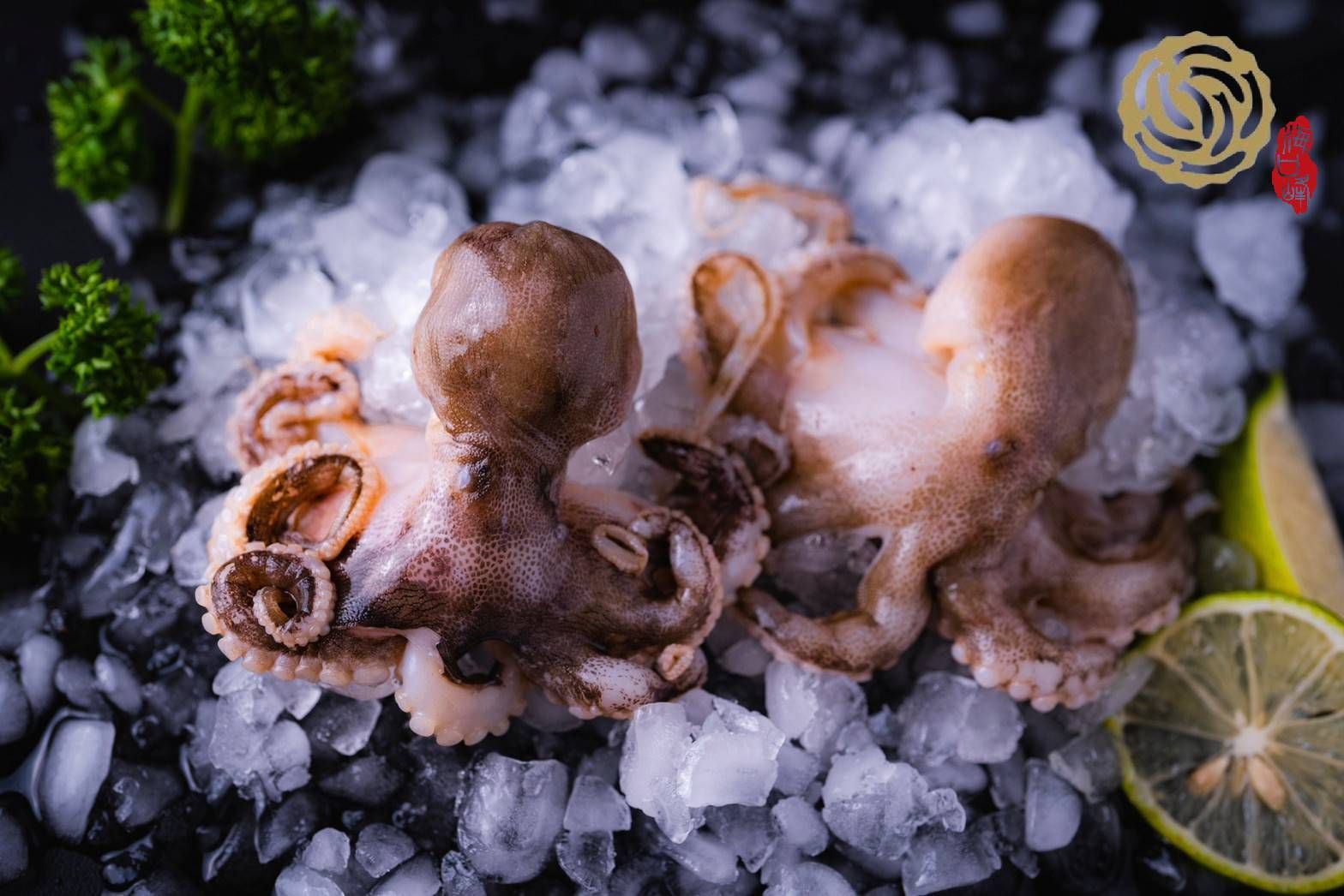 澎湖野生 鮖鮔章魚 切塊石巨