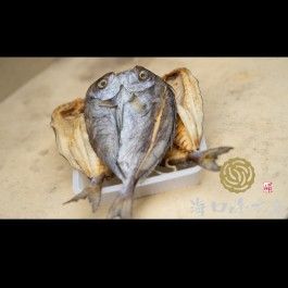 菊島特產 象魚乾