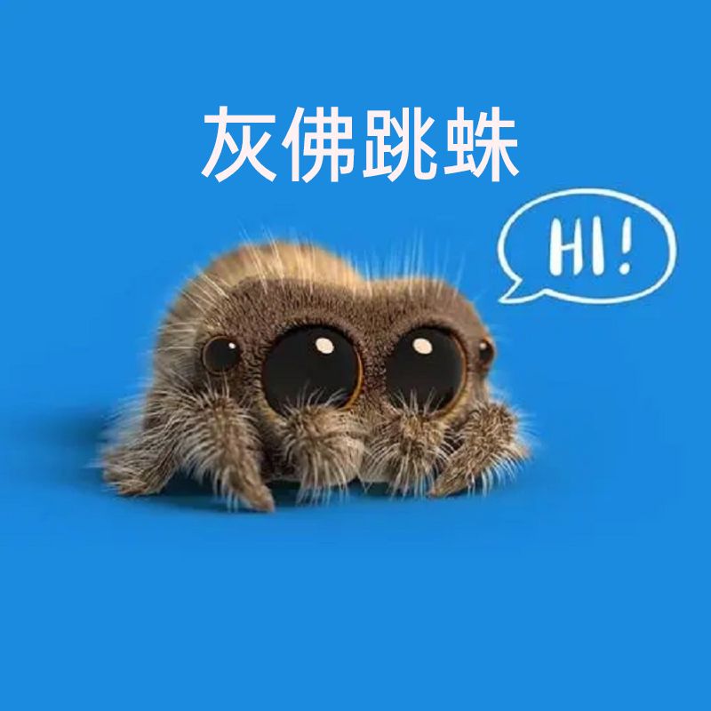 仿真佛羅里達跳蛛幼體 灰佛模型