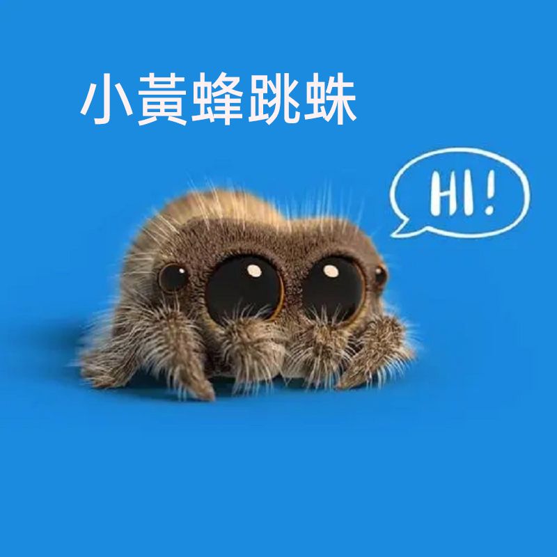 小黃蜂跳蛛模型