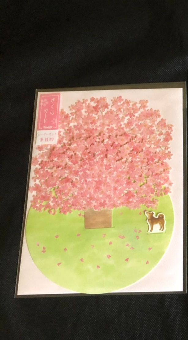 櫻花明信片