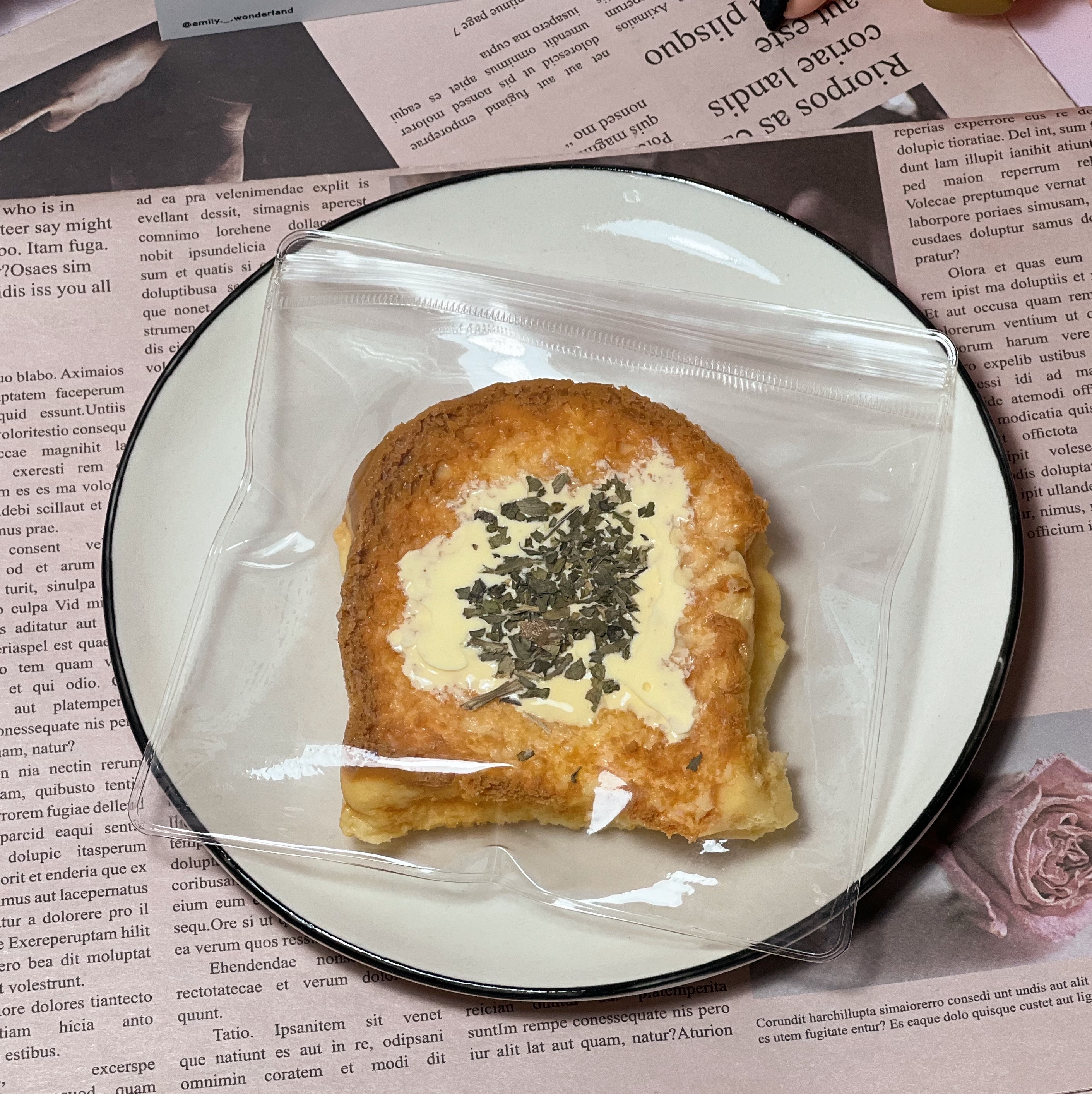 ฅ 艾蜜莉的遊樂園 ฅ 土司系列 矽膠捏捏 食物捏捏