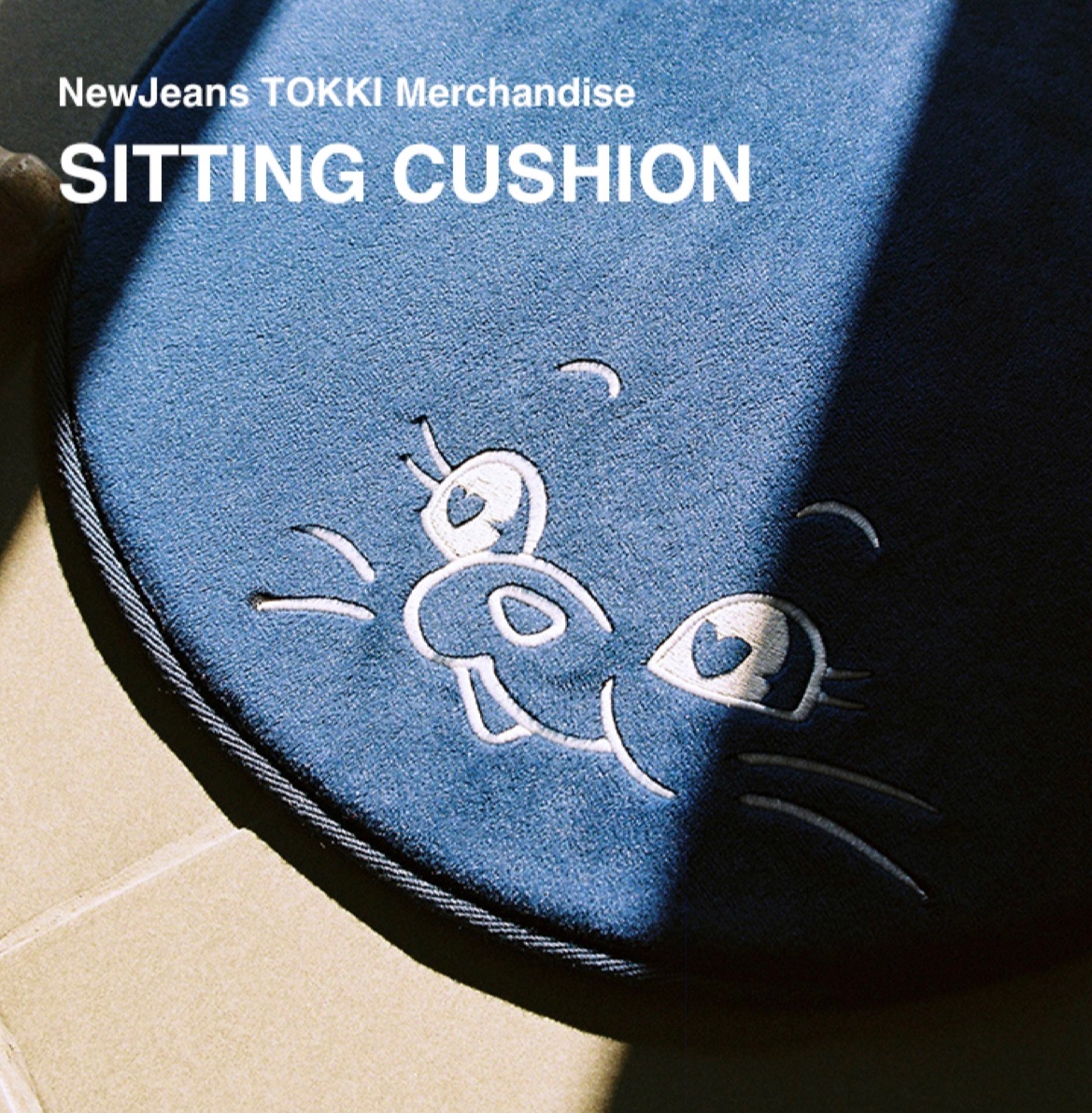 NewJeans兔兔座墊