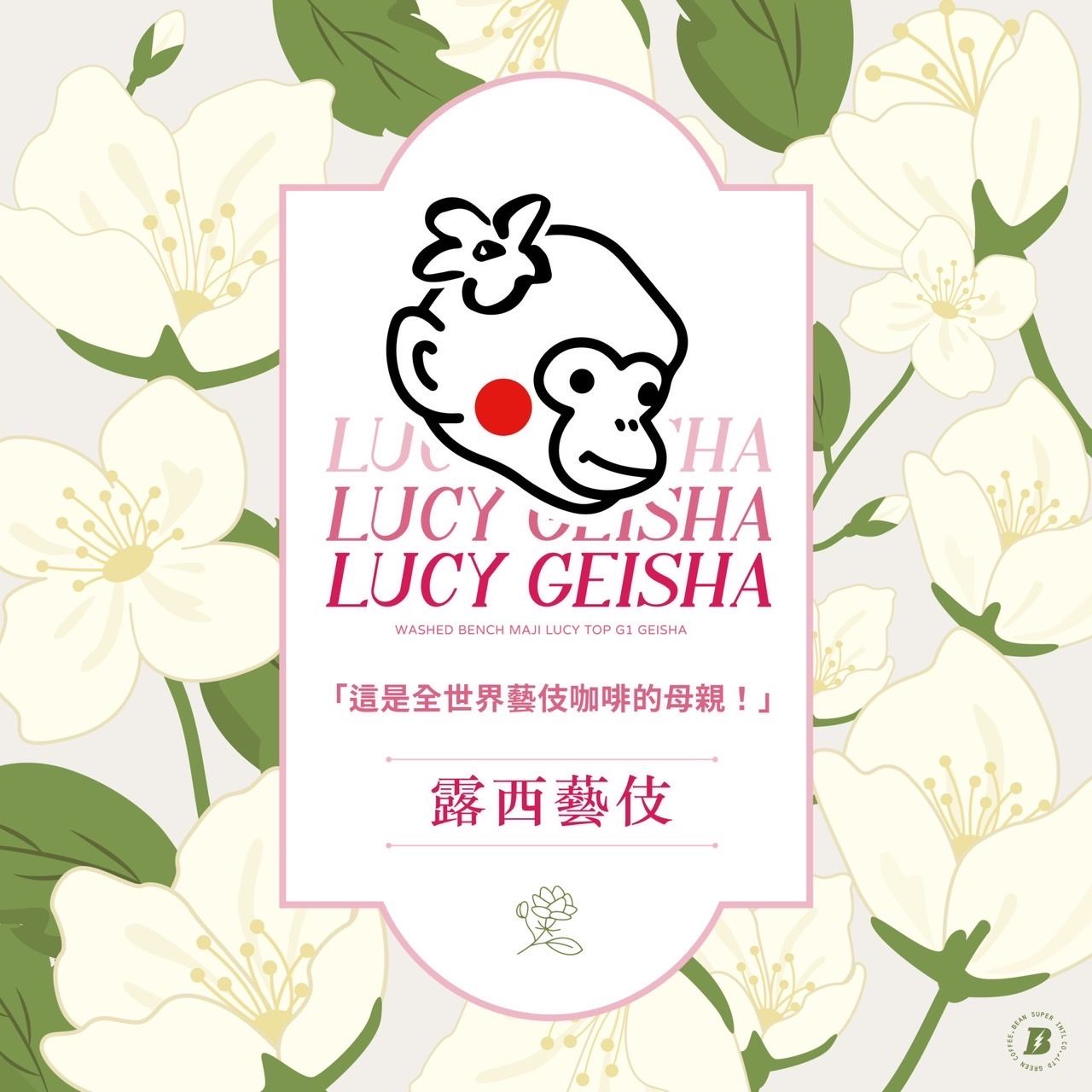 巴拿馬花蝴蝶藝伎/衣索比亞露西藝伎/ 日曬.水洗/金寶藝伎/天使藝伎果丁丁/肯亞辛巴獅子王