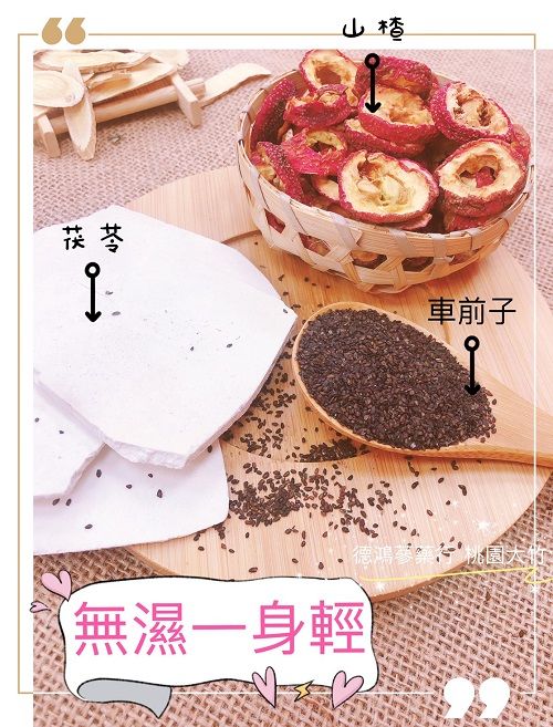 祛溼代謝茶