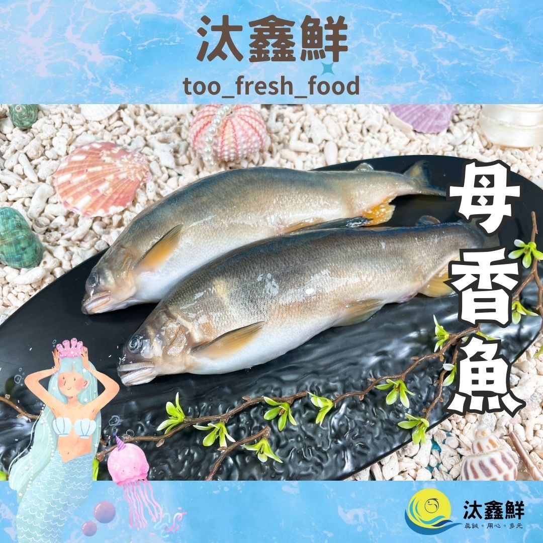 【汰鑫鮮】母香魚 1kg/盒 爆卵魚蛋香魚 炸物 煎物 下酒菜 家常菜/烤肉必備/冷凍生食