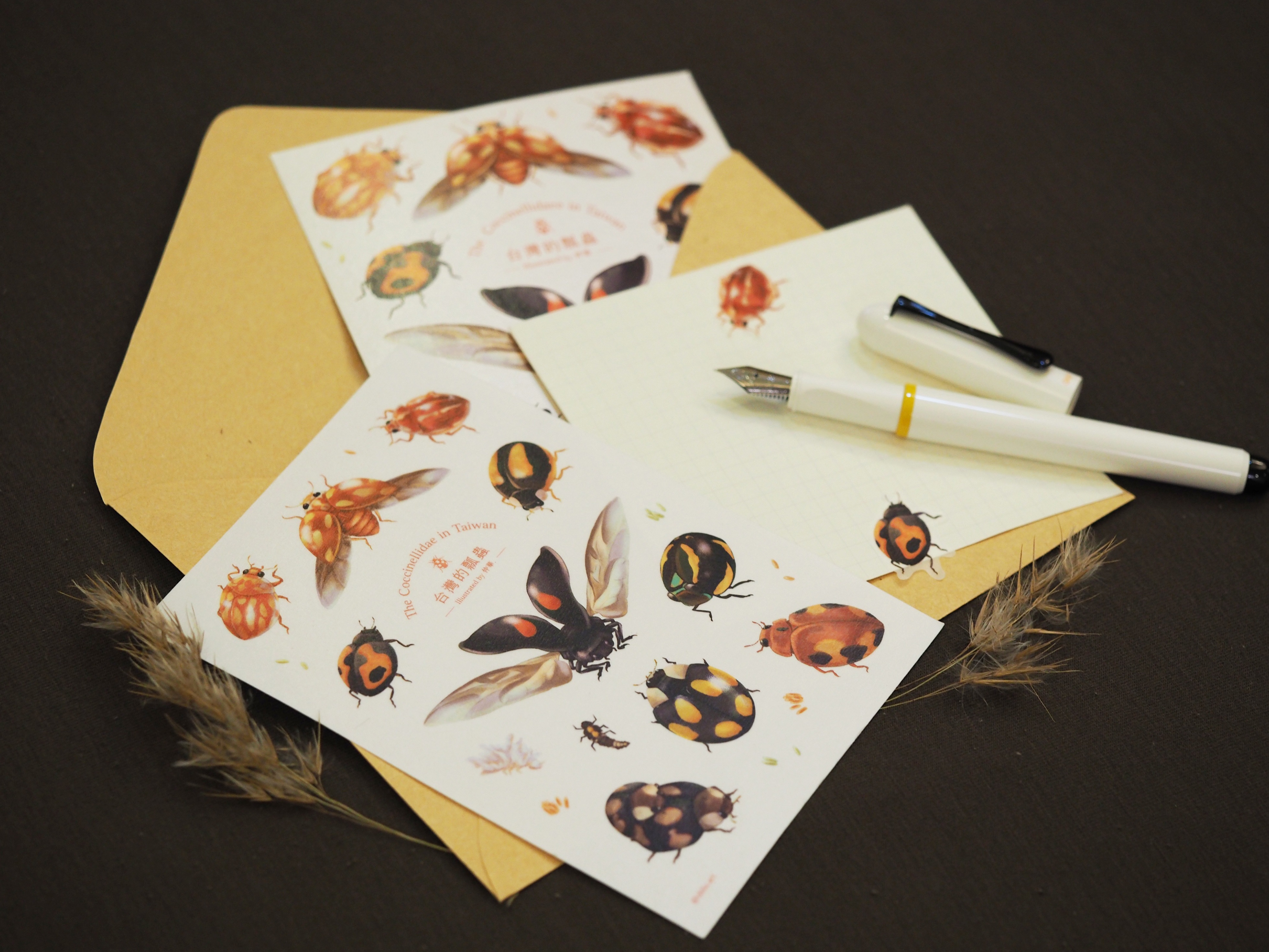 台灣的瓢蟲｜明信片／和紙貼紙