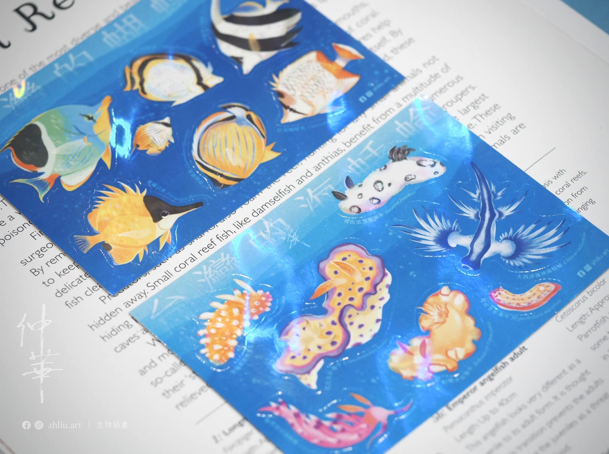 ✶NEW✶水裡的牠們 ｜台灣的海蛞蝓 / 蝴蝶魚 圖鑑貼紙