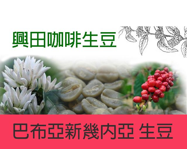 巴布亞新幾內亞 生豆