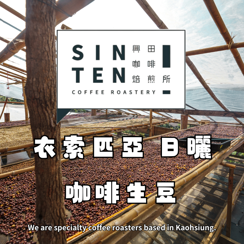 衣索比亞 日曬 或 蜜處理  咖啡生豆
