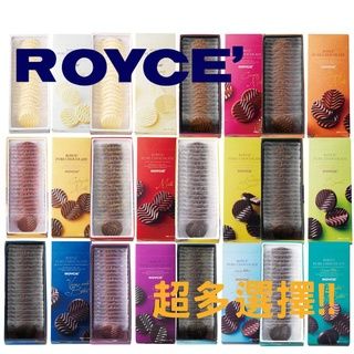 北海道直送 ROYCE 純巧克力 巧克力片 小盒版 多種口味 多種規格