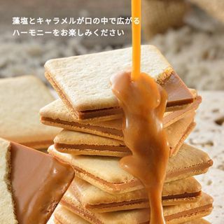 鹹味焦糖夾心餅乾 多種規格 神戶伴手禮