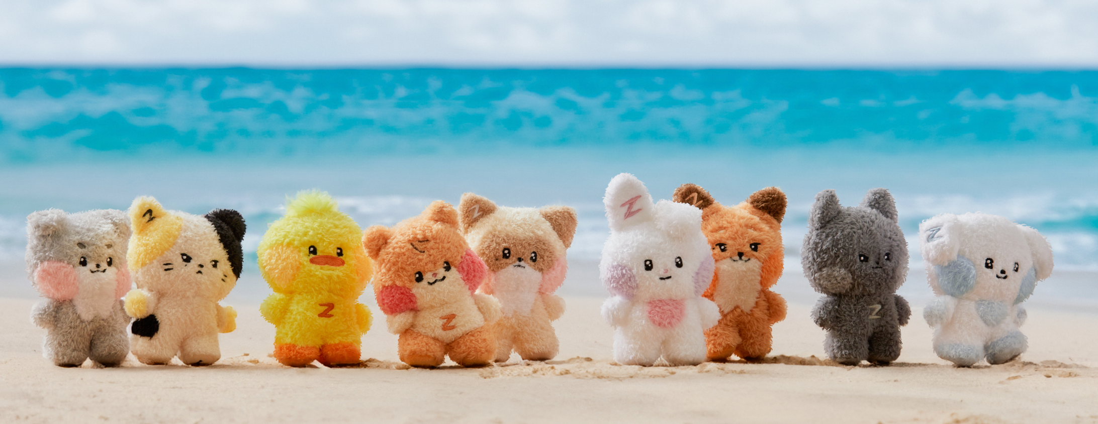 zeroni 娃 已匯款下單賣場