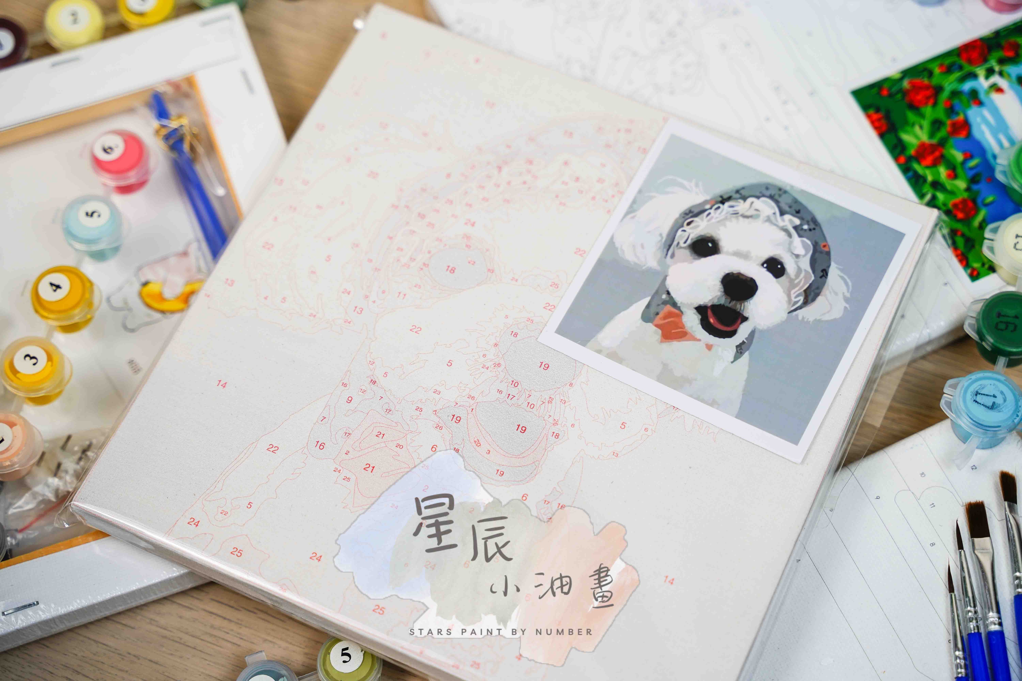 馬爾濟斯（嗎？