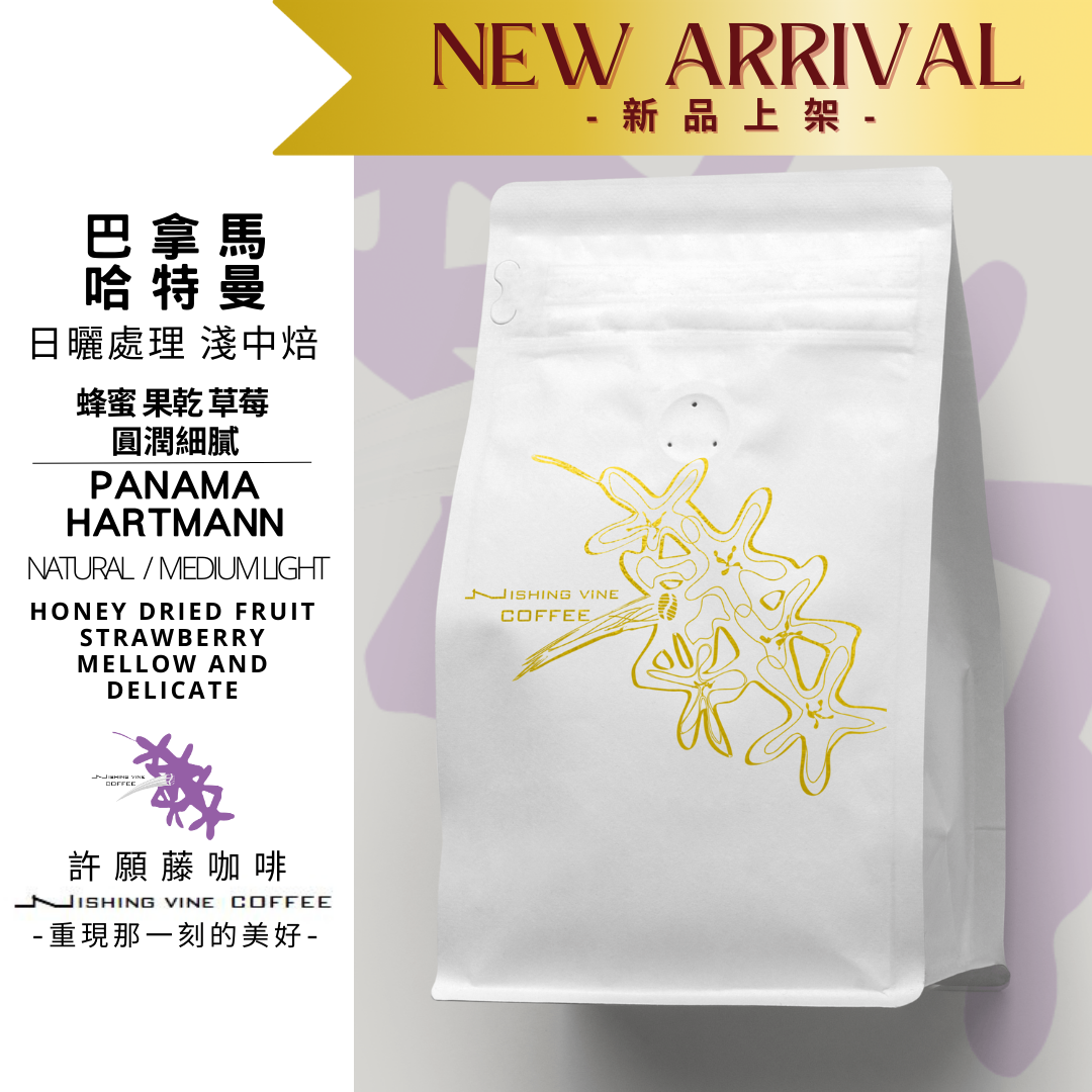 【 許願藤咖啡-巴拿馬】哈特曼 淺焙 水洗/日曬處理法 象豆 澄淨清新風味 咖啡豆 咖啡粉