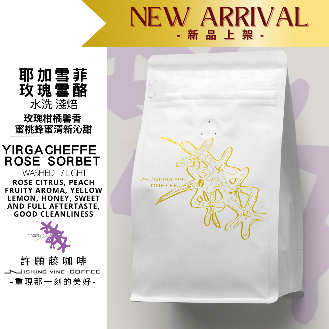 【 許願藤咖啡 - 耶加雪菲】「玫瑰雪酪」 - 淺焙 G1 玫瑰露水洗 熱銷回歸 咖啡豆 咖啡粉